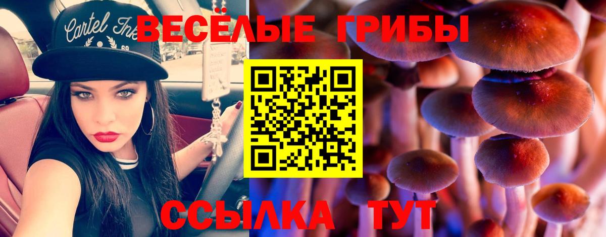 Галлюциногенные грибы ЛСД Алексеевка